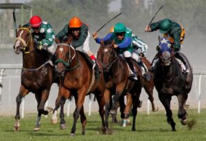 hong kong horse racing tips